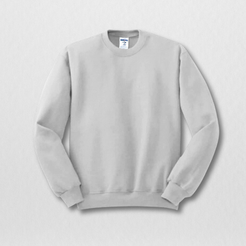 Grey Men's Sweatshirt (3034)
