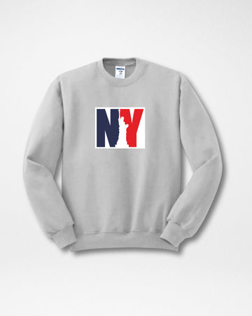 Grey Men's Printed Sweatshirt – Warm and Stylish Fleece (3056)